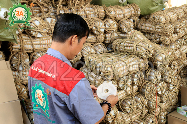 Kho mặt đá của máy làm sữa đậu nành 3A2,2Kw