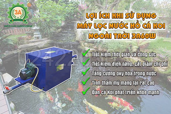  Lợi ích khi sử dụng Máy lọc nước hồ cá koi ngoài trời 3A60W