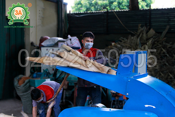 Kỹ thuật viên đang vận hành Máy nghiền gỗ, ván bóc 3A37Kw