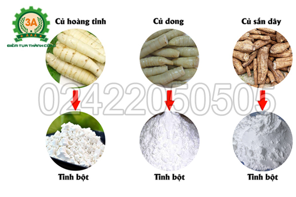 Máy nghiền nghệ 3A3Kw inox có khả năng nghiền đa dạng nguyên liệu