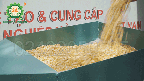 Máy nghiền ngô vỡ mảnh 3A5,5KW (09)