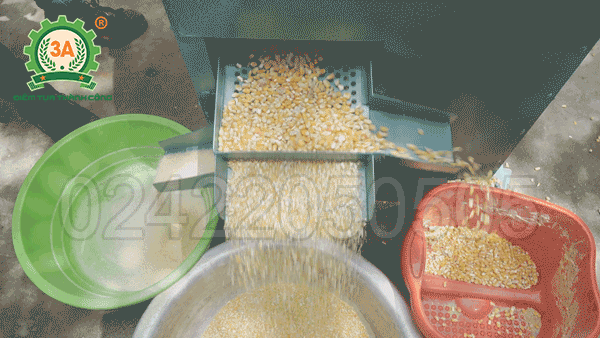 Máy nghiền ngô vỡ mảnh 3A5,5KW (10)