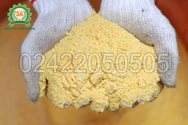 Cám ngô sau khi nghiền bằng máy nghiền cám, mùn cưa 3A7,5Kw không vòi hút