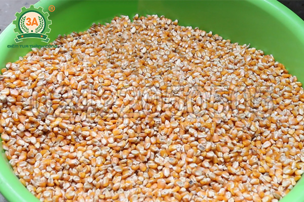 Nguyên liệu đầu vào của máy nghiền trộn thức ăn chăn nuôi 3A