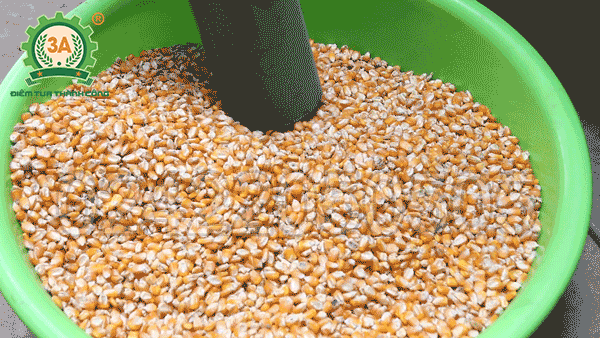 Vòi hút nguyên liệu tự động của máy nghiền trộn thức ăn chăn nuôi 3A