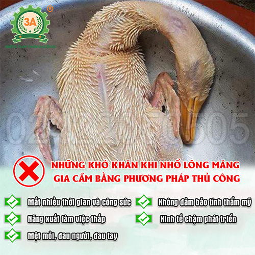 Máy nhổ lông măng vịt, ngan, gà cầm tay 3A150W