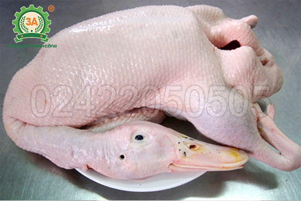 Máy nhổ lông măng vịt, ngan, gà 3A 