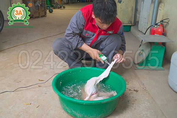 máy nhổ lông tơ vịt cầm tay 3A150W