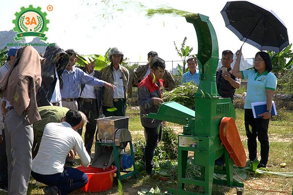 Máy nông nghiệp 3A tại Thanh Hóa: Máy băm cỏ 3A4Kw
