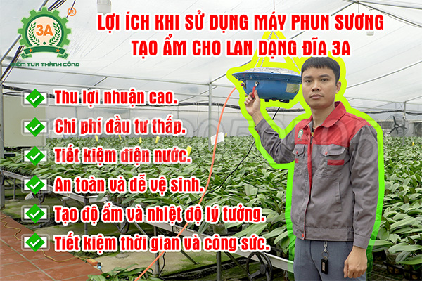 Lợi ích khi sử dụng Máy phun sương tạo ẩm cho lan dạng đĩa 3A