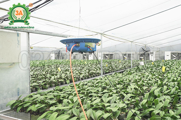 Máy phun sương tạo ẩm vườn lan