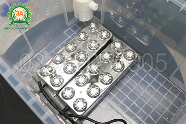 Máy phun sương tạo ẩm trồng đông trùng hạ thảo 3A510W (11)