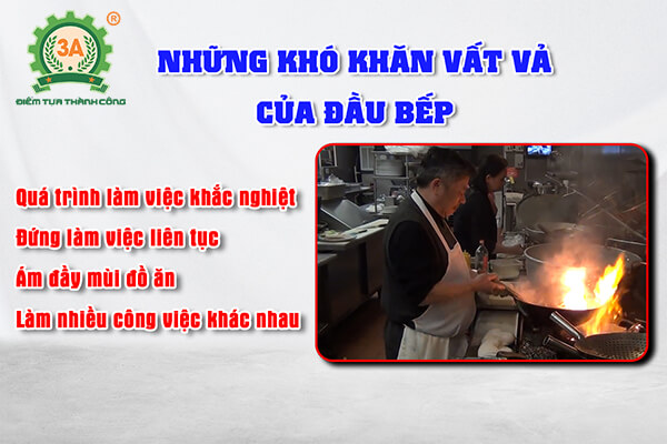 Máy rang cơm, xào rau tự động 3A (06)