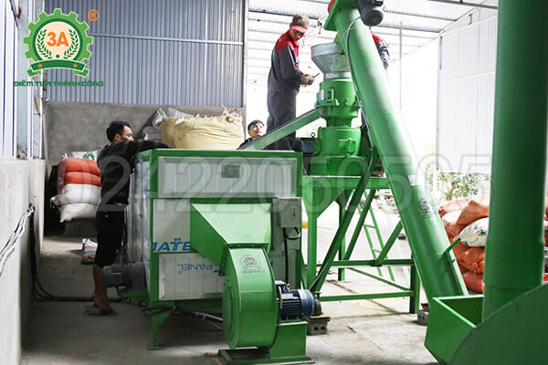 Máy sấy cám viên băng tải 3A (14)