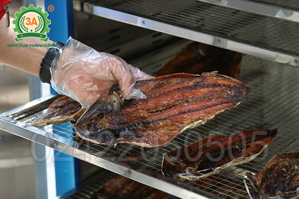 Máy sấy hải sản inox 3A4kW (11)