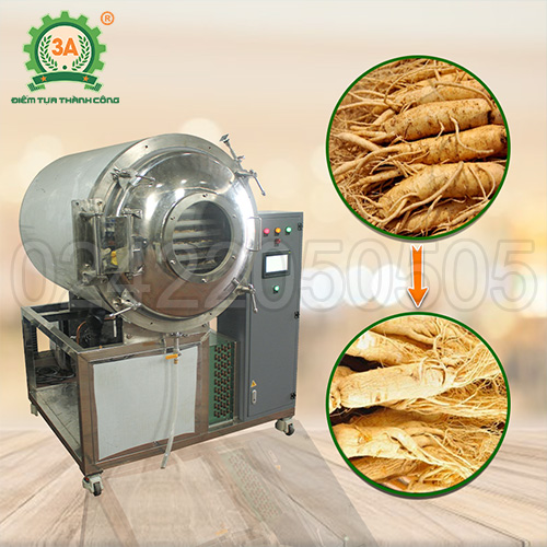 Máy sấy thăng hoa 3A 24Kg/mẻ