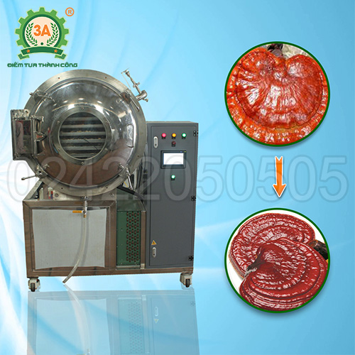 Máy sấy thăng hoa 3A 24Kg/mẻ