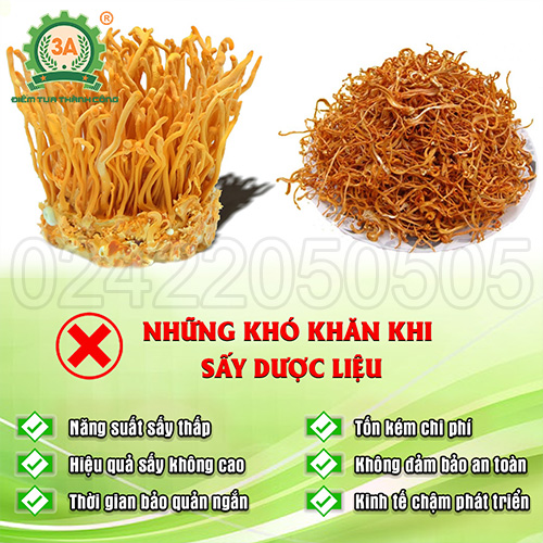 Những khó khăn thường gặp phải khi sấy khô nguyên liệu tại các cơ sở sản xuất kinh doanh thực phẩm đồ khô