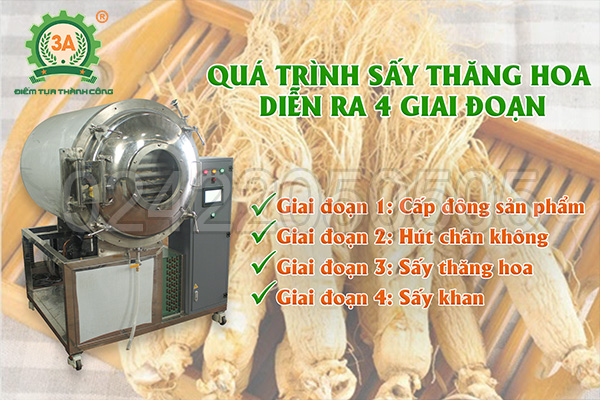 Máy sấy thăng hoa 3A 24Kg/mẻ hoạt động như thế nào?