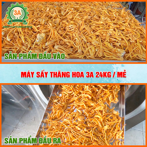 Máy sấy thăng hoa 3A