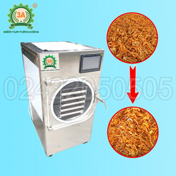 Máy sấy thăng hoa đông trùng hạ thảo 3A 5Kg/mẻ (02)