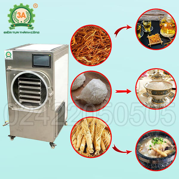 Máy sấy thăng hoa đông trùng hạ thảo 3A 5Kg/mẻ (03)