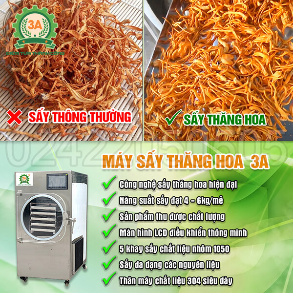 Máy sấy thăng hoa đông trùng hạ thảo 3A 5Kg/mẻ (22)
