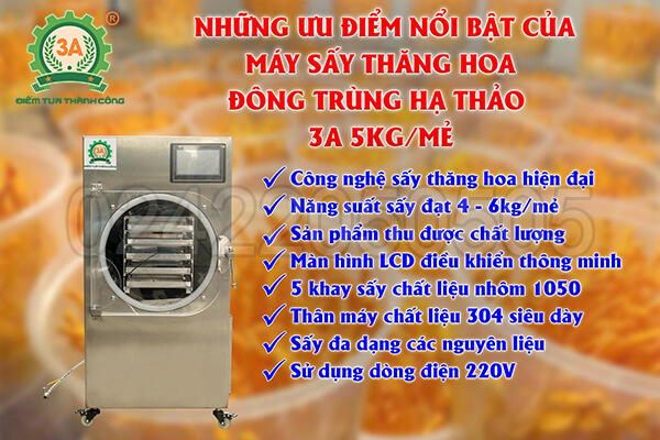 Máy sấy thăng hoa đông trùng hạ thảo 3A 5Kg/mẻ (06)