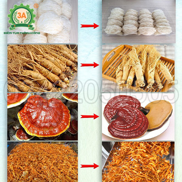 Máy sấy thăng hoa đông trùng hạ thảo 3A 5Kg/mẻ (16)