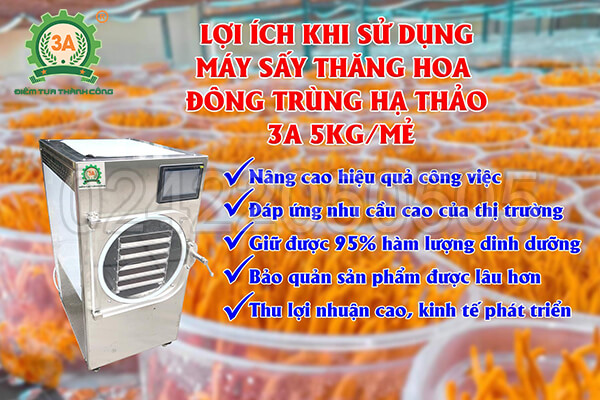 Máy sấy thăng hoa đông trùng hạ thảo 3A 5Kg/mẻ (22)