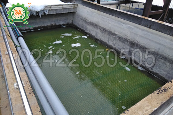 máy ép phân bò mini 