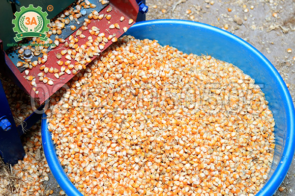 Máy tách hạt ngô cả vỏ 3A3,5Kw (19)