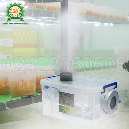 Máy tạo ẩm nhà nấm đông trùng hạ thảo 3A260W