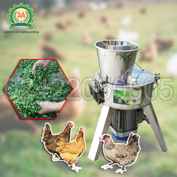 Máy thái chuối cho gà vịt 3A2,2Kw (inox)