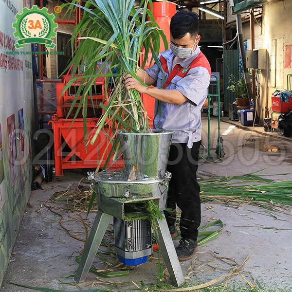 Máy thái chuối cho gà vịt 3A2,2Kw (inox)