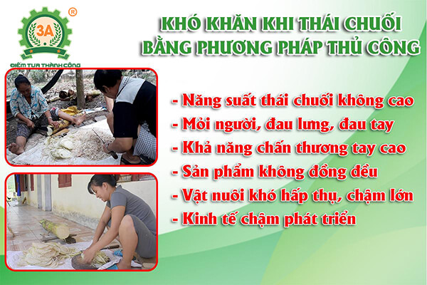 Máy thái chuối cho gà vịt 3A2,2Kw inox (04)