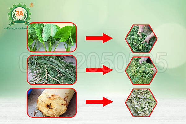 Máy thái chuối cho gà vịt 3A2,2Kw inox (08)