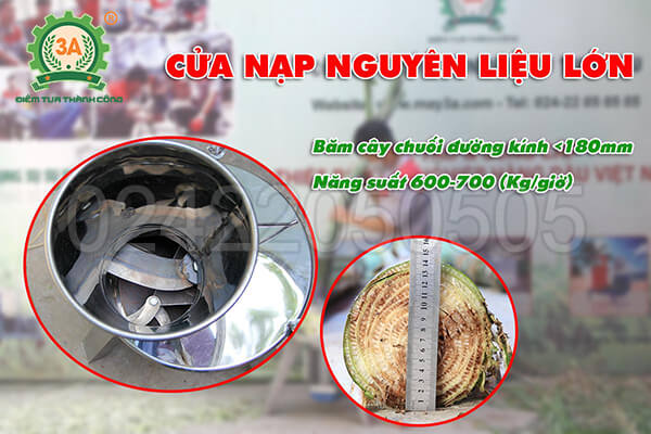 Máy thái chuối cho gà vịt 3A2,2Kw inox (09)