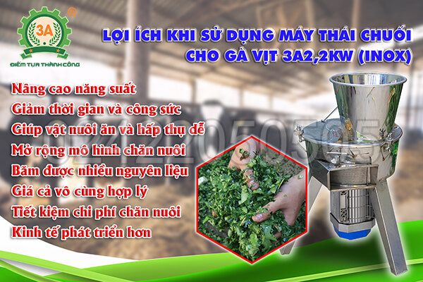 Máy thái chuối cho gà vịt 3A2,2Kw inox (12)