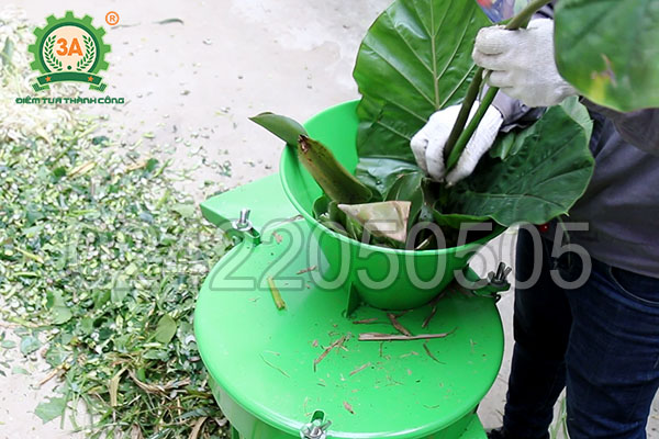 Máy thái chuối dạng lát 3A2,2kW (08)