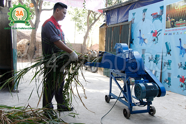 Máy thái cỏ cho bò 3A9Z-3