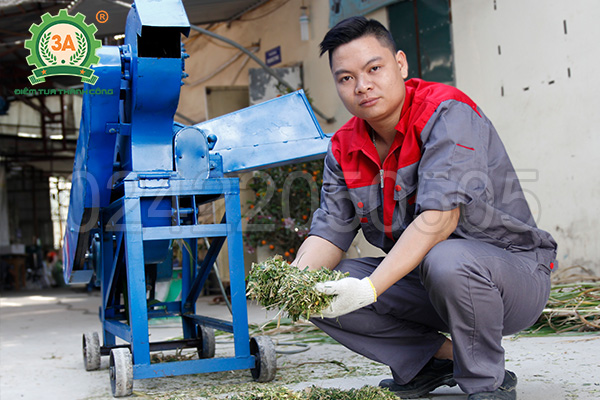 Máy thái cỏ cho bò 3A9Z-3