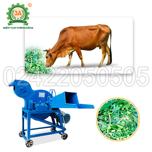 Máy thái cỏ cho bò 3A9Z-3