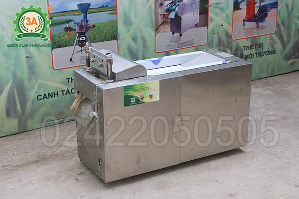 Máy thái dược liệu băng tải 3A2,2kW (10)