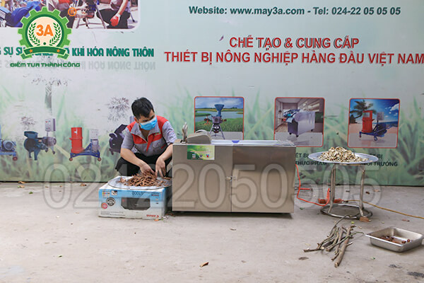Máy thái dược liệu băng tải 3A2,2kW (15)