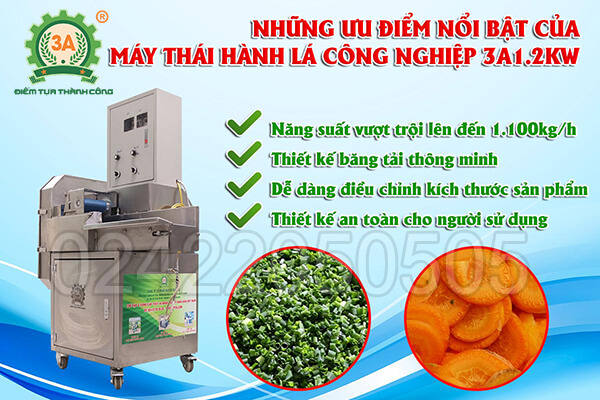Máy thái hành lá công nghiệp 3A1,2kw (04a)