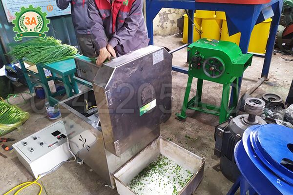 Máy thái hành lá công nghiệp 3A1,2kw (11)