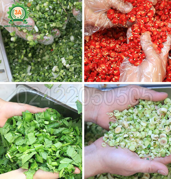 Máy thái ớt, sả, hành lá 3A1,5KW (14)