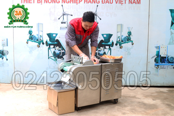 Máy thái rau, củ, quả 3A1,5Kw (loại băng tải) – trợ thủ đắc lực trong không gian bếp