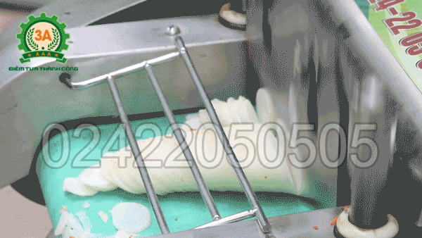 Máy thái rau, củ, quả 3A1,5Kw (loại băng tải) có năng suất cao